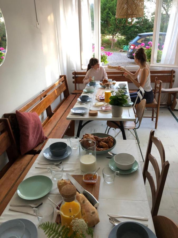 Surfhostel Hossegor Сорт-Осгор Экстерьер фото